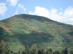 Small farms on hillside, Gisenyi, Rwanda (Photo: Manuel Milz)